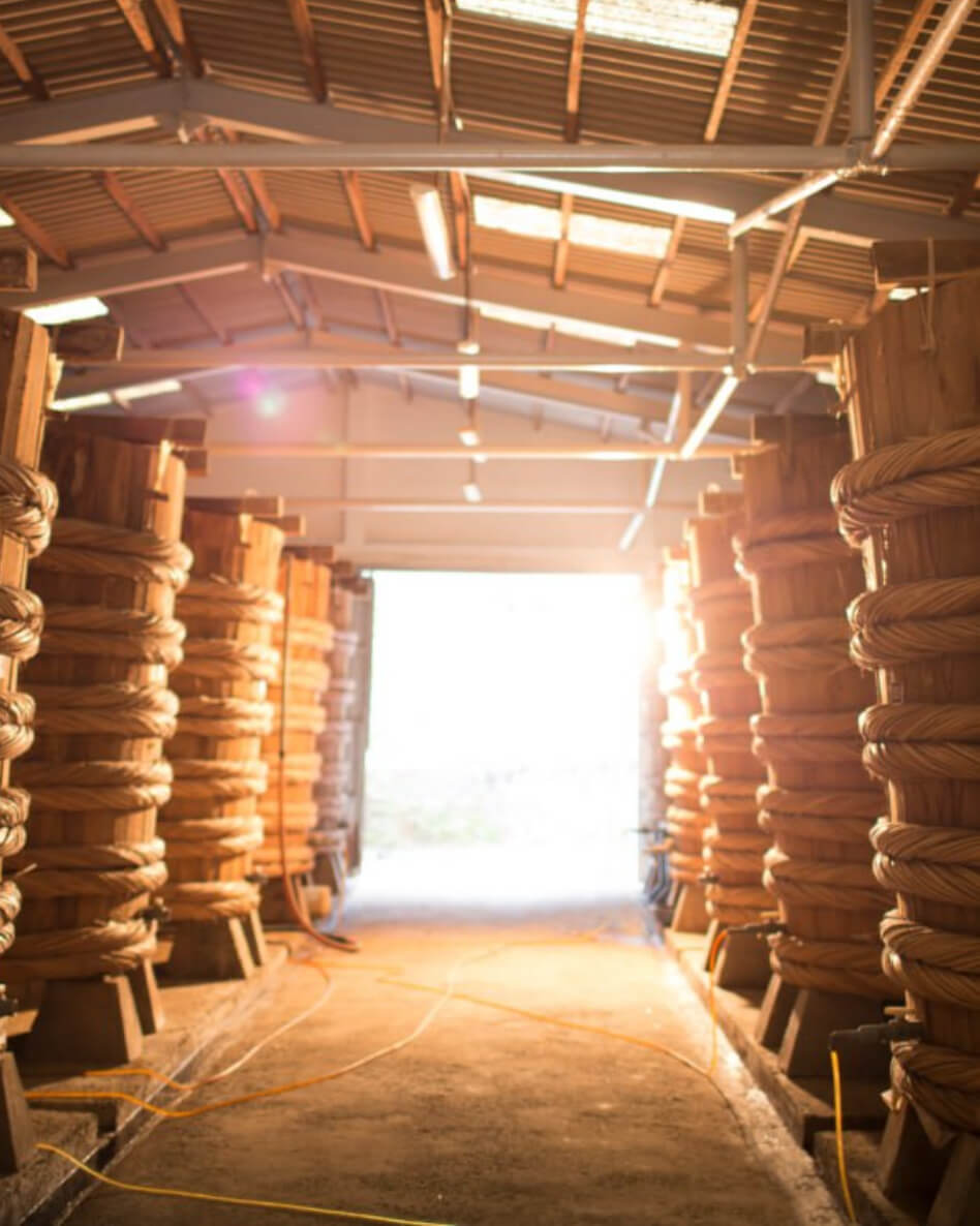 Giới thiệu chung - Masan Consumer